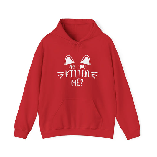 Are You Kitten Me / Gift and Party Hoodie / Kitty / Cat unisex heavy blend hooded sweatshirt