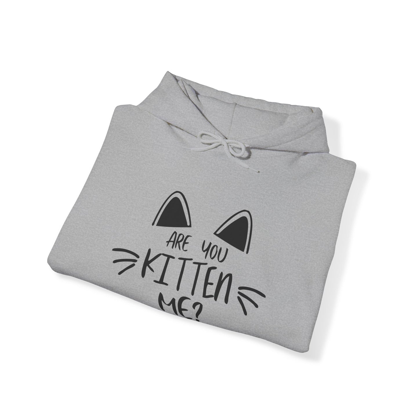 Are You Kitten Me / Gift and Party Hoodie / Kitty / Cat unisex heavy blend hooded sweatshirt
