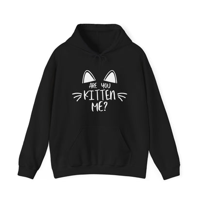 Are You Kitten Me / Gift and Party Hoodie / Kitty / Cat unisex heavy blend hooded sweatshirt