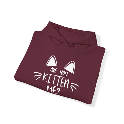 Are You Kitten Me / Gift and Party Hoodie / Kitty / Cat unisex heavy blend hooded sweatshirt