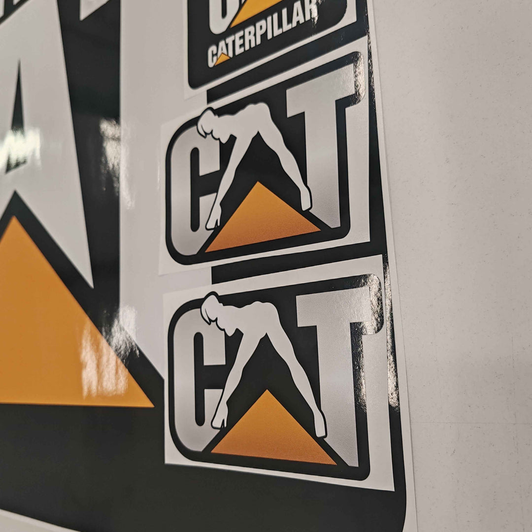CAT Caterpillar 226B2 Replacement Decal Skid Steer Loader Set (Copy)