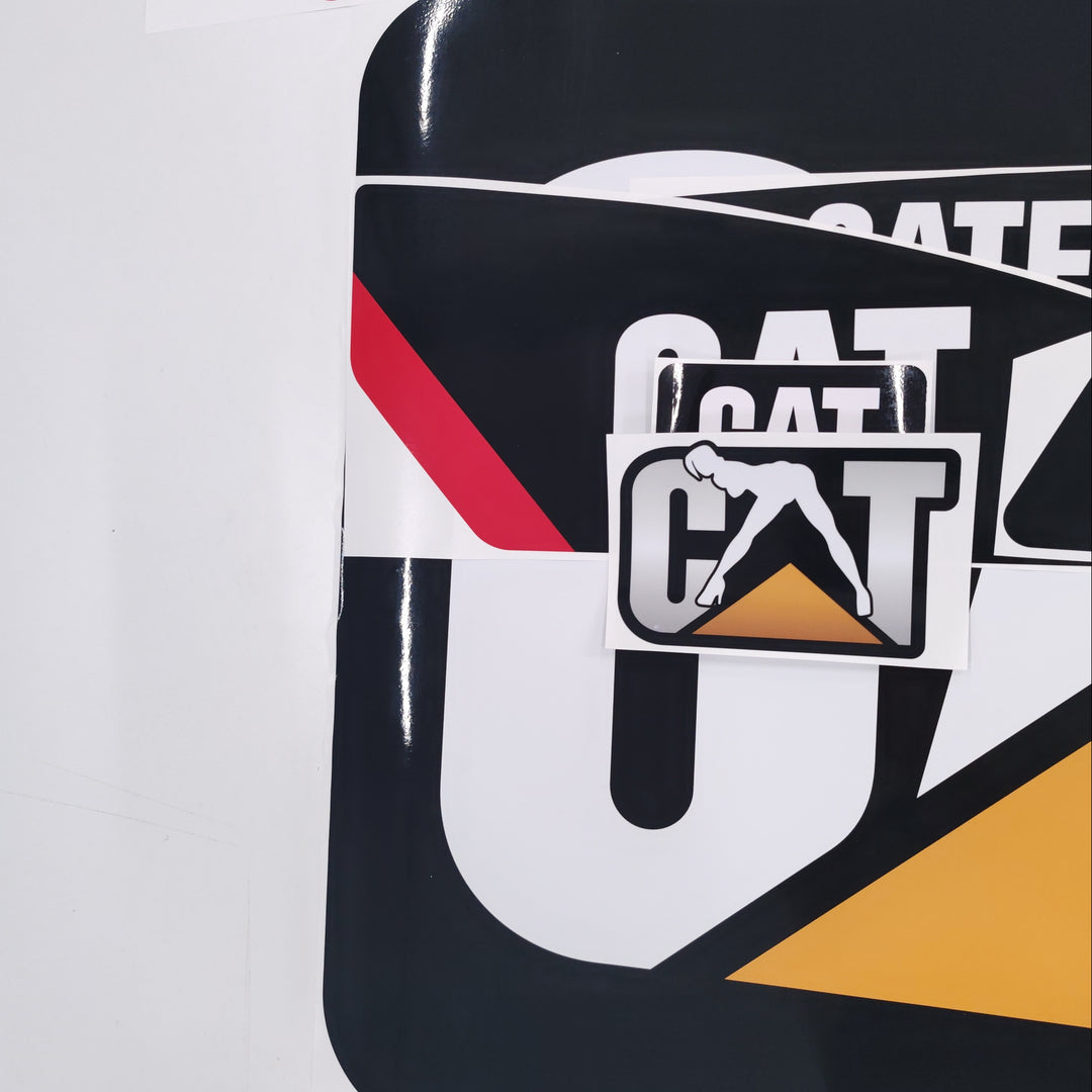 CAT Caterpillar 299C / HFX / TS Replacement Decal Skid Steer Loader Set