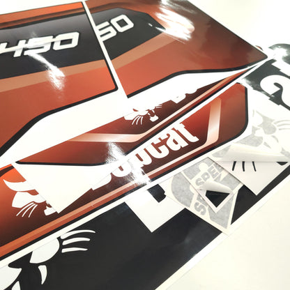 Aftermarket Decals for Bobcat S450 Compact Track Loader / Aufkleber / Adesivo / Sticker / Replacement Set (M3) Reprdouction